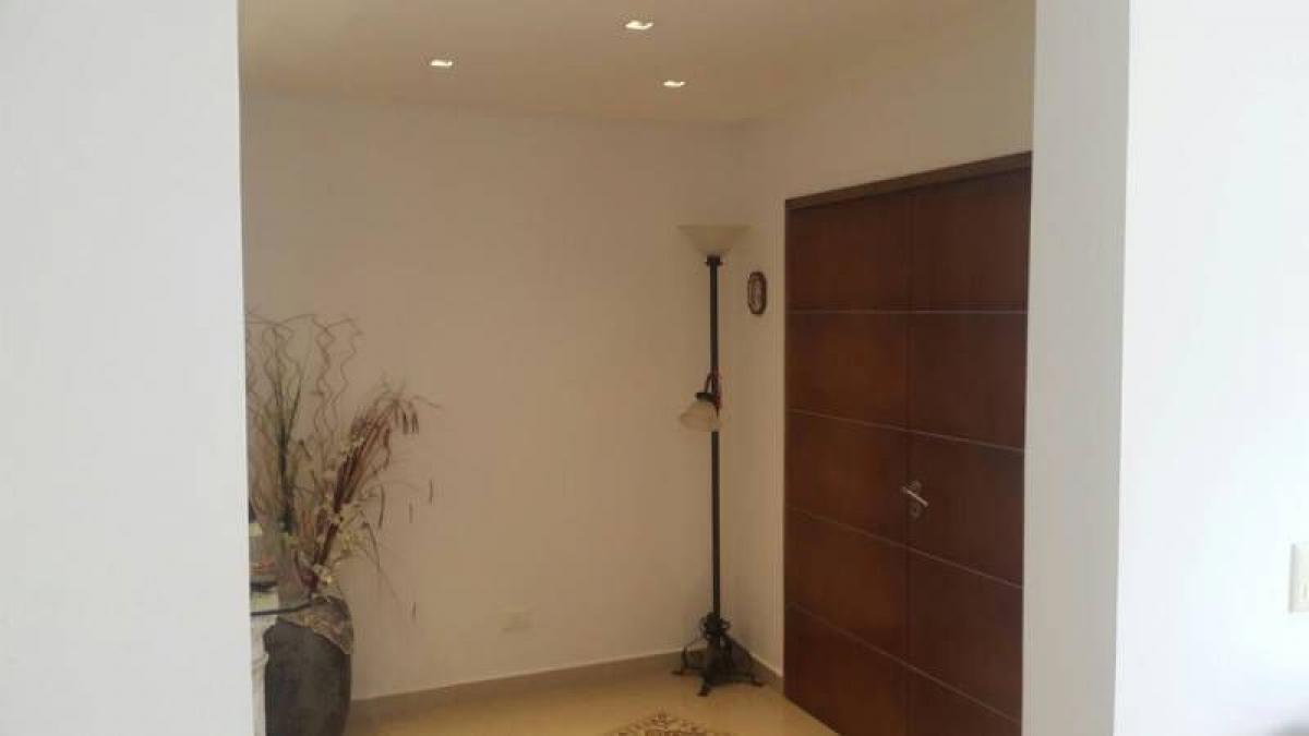 5 bedrooms House in Tigre, Argentina No. 98667