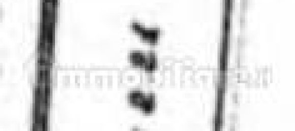 Apartamento T2 em Piacenza, Italy N.º 292704 23