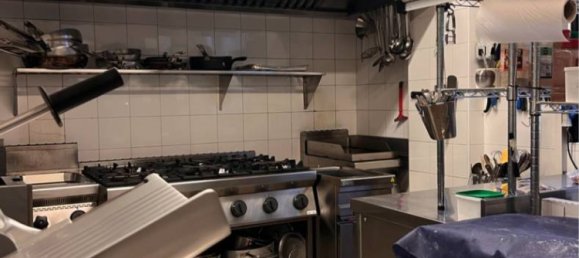 5-Zimmer Gewerbliche Immobilie in Segrate, Italy, Nr. 260193 19