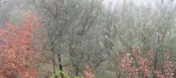 7 Schlafzimmer Haus in Montaione, Italy, Nr. 348030 24