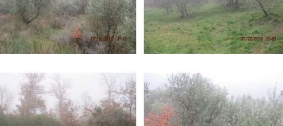 7 Schlafzimmer Haus in Montaione, Italy, Nr. 348030 47