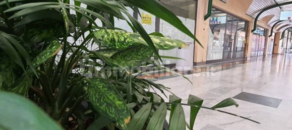 1 room Commercial property in Lendinara, Italy No. 55191 9