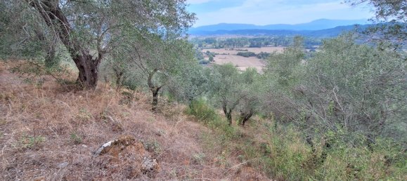 13000 m² hotel en venta en Corfu, Central Corfu and Diapontian Islands, Corfu, Ionian Islands, Peloponnese, Western Greece and the Ionian, Greece № 55209 3
