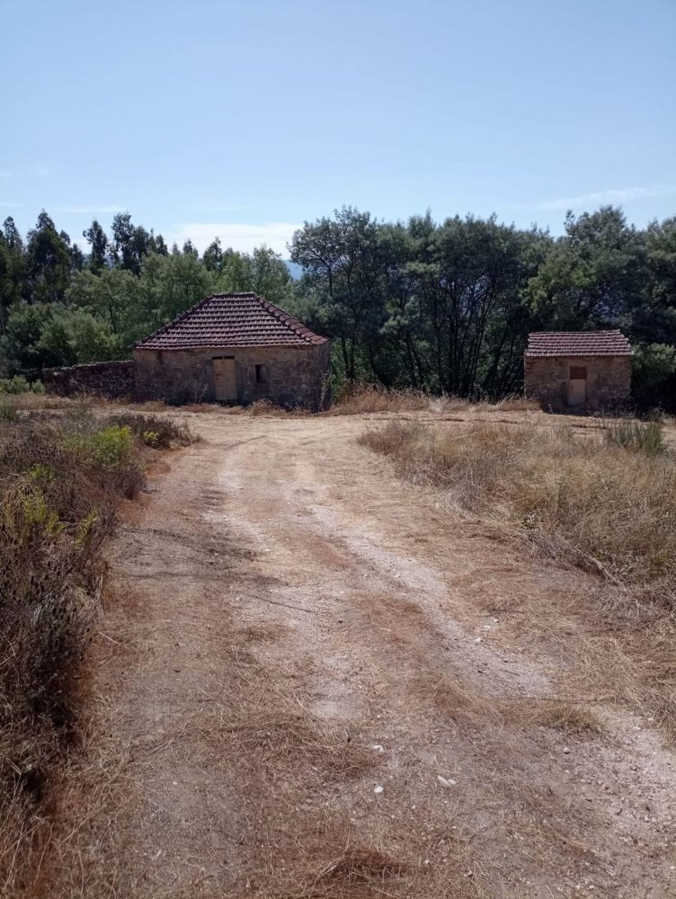 1 bedroom House in Mangualde, Portugal No. 330733