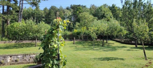 5 rooms House in Grafenbach-St. Valentin, Austria No. 259548 3