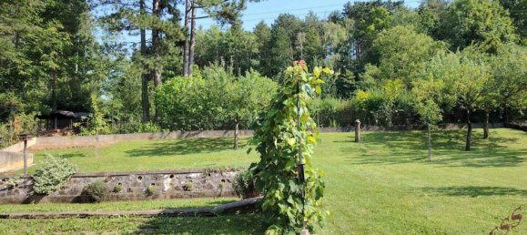 5 rooms House in Grafenbach-St. Valentin, Austria No. 259548 7