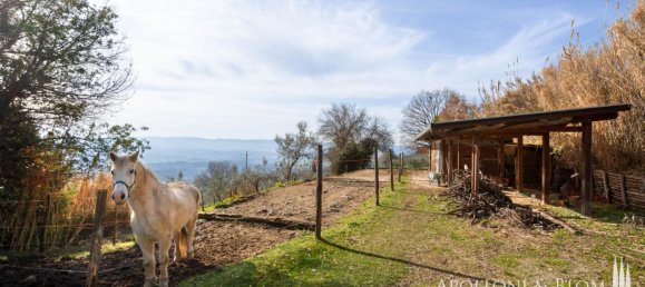 Casa T5 em Loro Ciuffenna, Italy N.º 54298 31