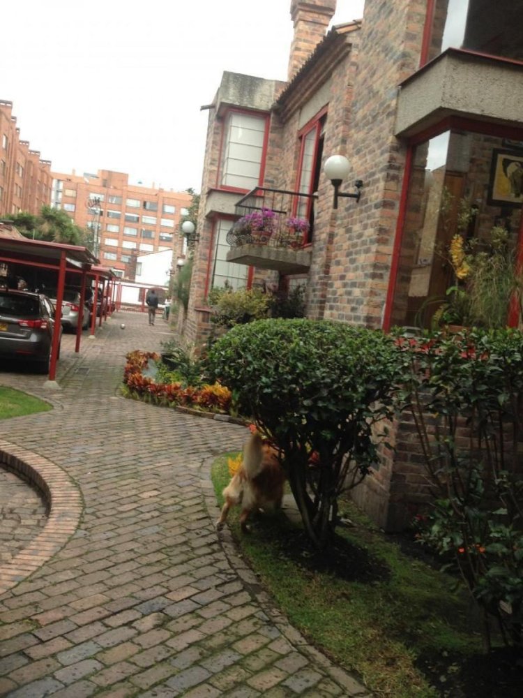 Casa T3 em Bogota, Colombia N.º 11707