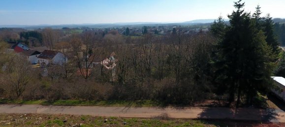  Land in Merzig-Wadern, Germany No. 45437 5