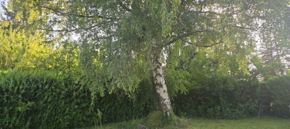 3 rooms House in Hornstein, Austria No. 233266 4