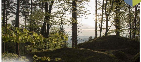 Terreno en Gramastetten, Austria No. 162077 16