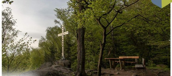 Terreno en Gramastetten, Austria No. 162077 18