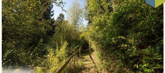 Terreno en Gramastetten, Austria No. 162077 5