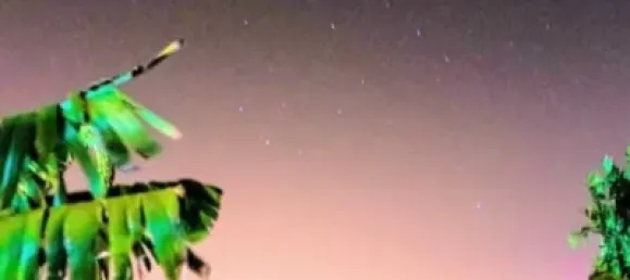 9 غرف نوم منزل في Telde, Spain رقم 170115 42