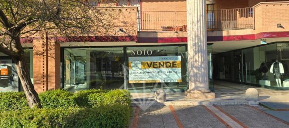 Gewerbliche Immobilie in Bastia Umbra, Italy 278m², Nr. 102118 6