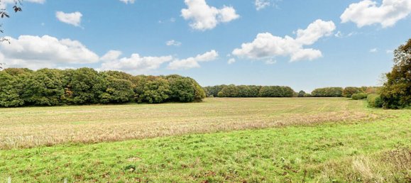 4 bedrooms House in Biggin Hill, United Kingdom No. 4746 16