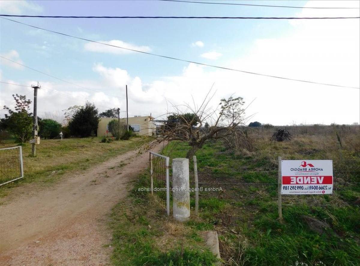 3 chambres Maison à Canelones, Uruguay No. 7209