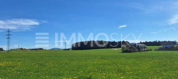  Land in Seekirchen am Wallersee, Austria No. 203957 2