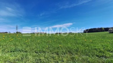  Land in Seekirchen am Wallersee, Austria No. 203957