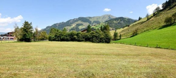 Grundstück in Rauris, Austria, Nr. 217723 3