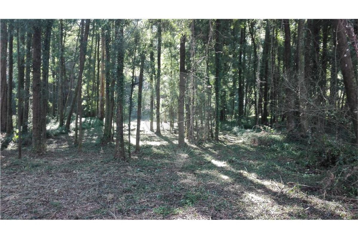 1800m² Land in Espinho, Portugal No. 69160