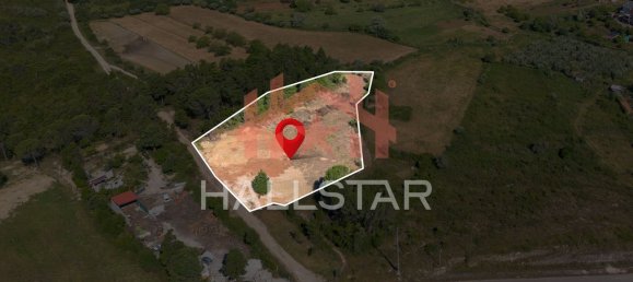 Terrain à Coimbra, Portugal 4955m² No. 78535 13