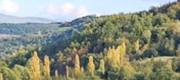 1 bedroom House in Apecchio, Italy No. 292690 6