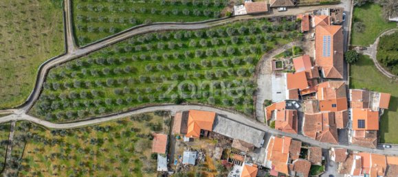 Casa de 10 dormitorios en Murca, Portugal No. 92169 44