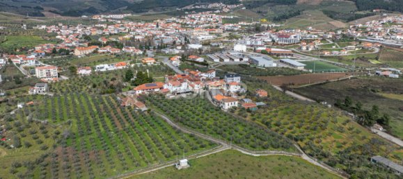 Casa de 10 dormitorios en Murca, Portugal No. 92169 43