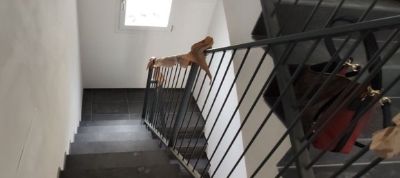 12 rooms House in Parma, Italy No. 38454 18