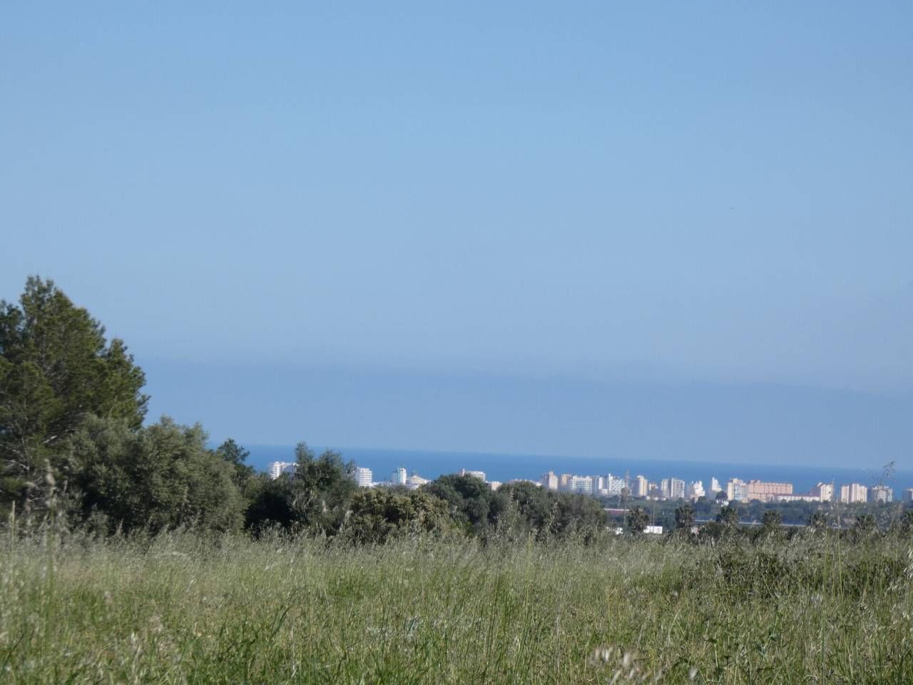 65000m² Land in Castellon, Spain No. 161929