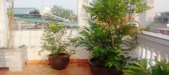 1 Schlafzimmer Wohnung in Ba Dinh, Vietnam, Nr. 6691 9