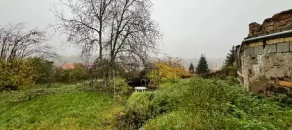 2 غرف نوم منزل في Mansfeld-Sudharz, Germany رقم 136765 5