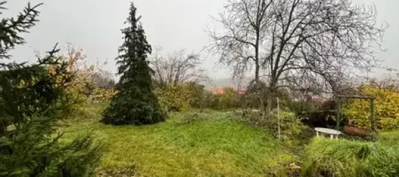 2 غرف نوم منزل في Mansfeld-Sudharz, Germany رقم 136765 4