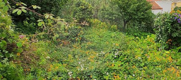 9 bedrooms House in Cascais, Portugal No. 49656 3