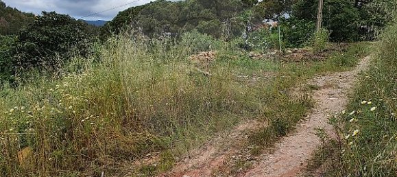 9 bedrooms House in Cascais, Portugal No. 49656 4