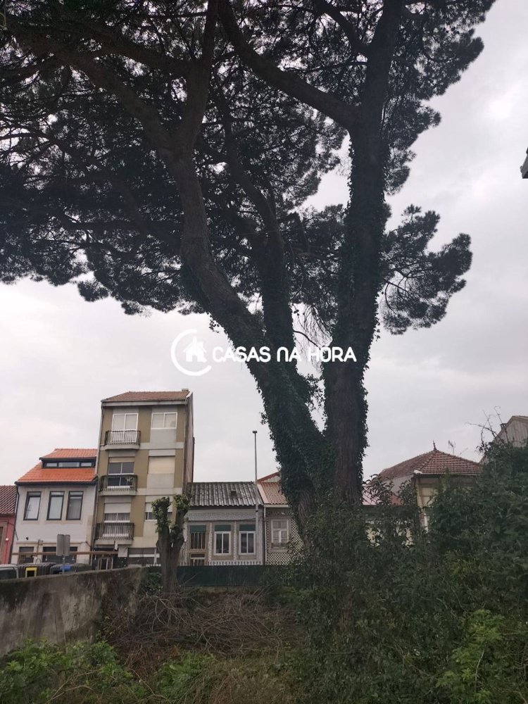 3 bedrooms House in Sao Mamede de Infesta, Portugal No. 340269