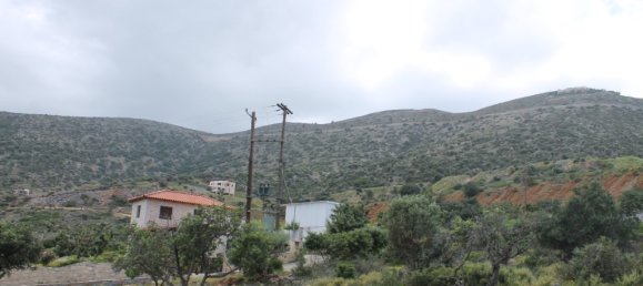 4000m² Property in Malia, Greece No. 4604 3