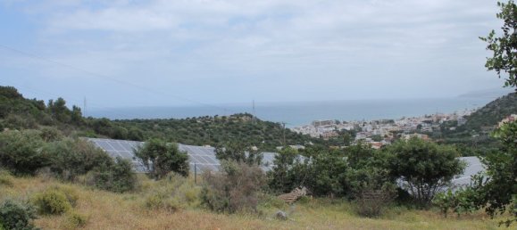 4000m² Property in Malia, Greece No. 4604 2
