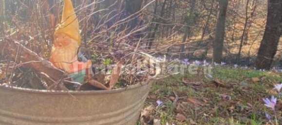 5غرفة فيلا في Ponzone, Italy رقم 343162 30