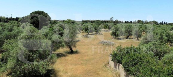 1 Schlafzimmer Wohnung in Oristano, Italy, Nr. 270075 11