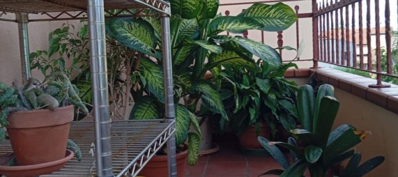 5 غرف نوم منزل في Rovigo, Italy رقم 343505 12