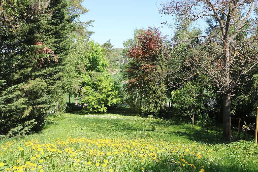 Grundstück in Bisamberg, Austria, Nr. 213781
