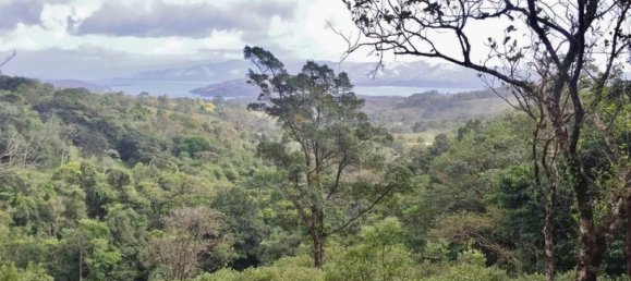  Land in Tilaran, Costa Rica No. 1817 2