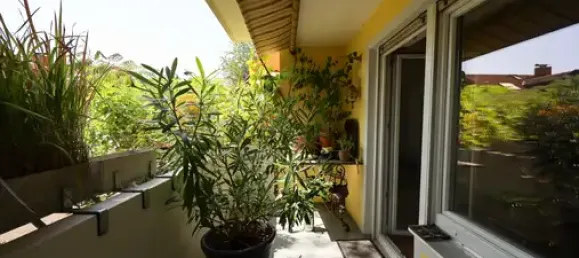 5 bedrooms Apartment in Lorrach, Germany No. 268844 16