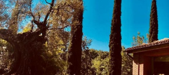 6 Schlafzimmer Villa in Monteleone d'Orvieto, Italy, Nr. 52859 57