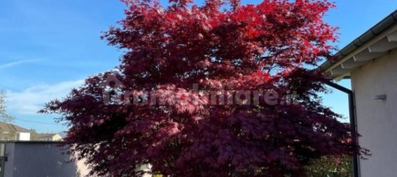 2 bedrooms Villa in Dorno, Italy No. 313211 2