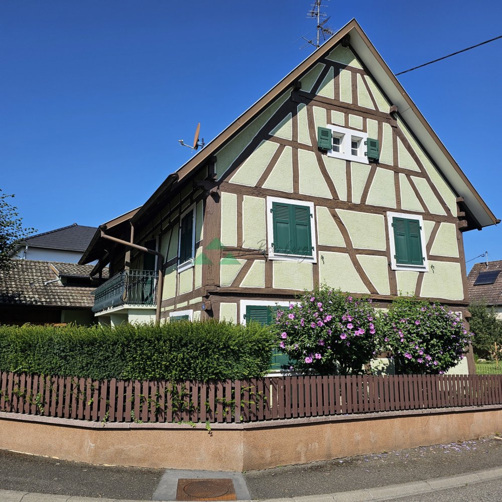 5 bedrooms House in Brinckheim, France No. 232212