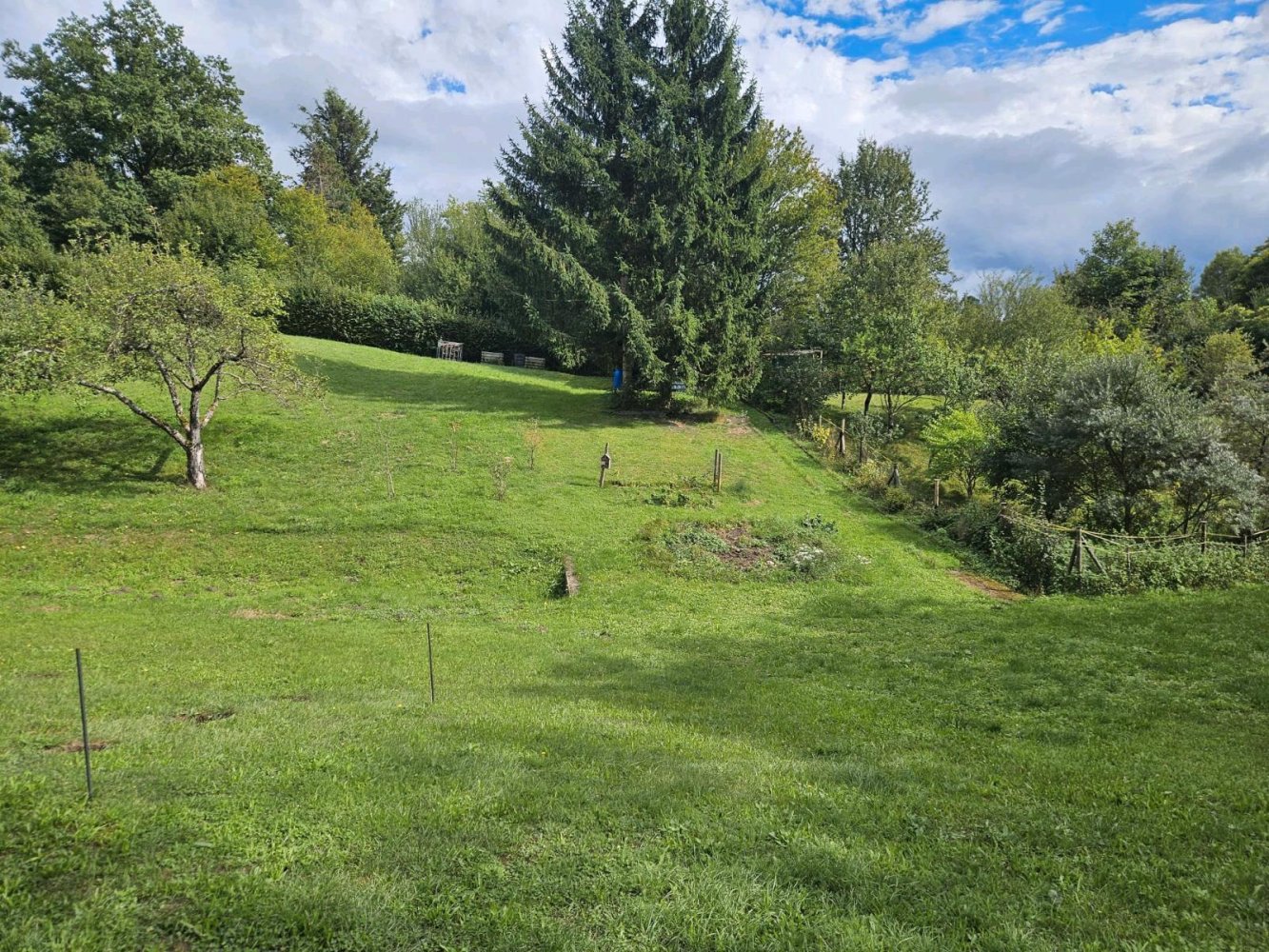  Land in Enzkreis, Germany No. 367129