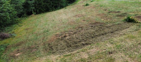  قطعة أرض في Strallegg, Austria رقم 21000 3